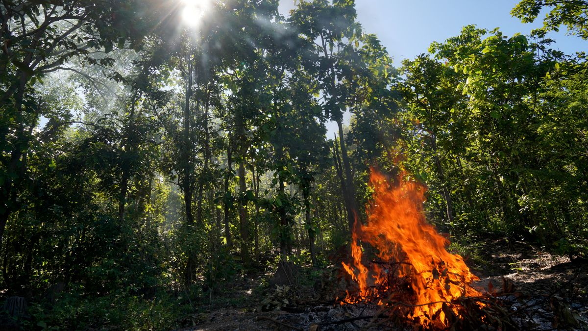 Lost Arizona hiker started three wildfires trying to signal for help