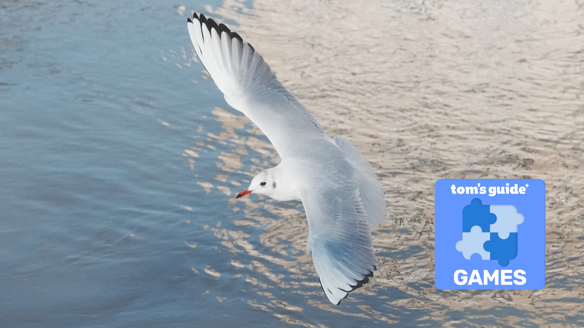 A photo of a graceful seabird sweeping over water, with a 'Tom's Guide Games' logo overlaid