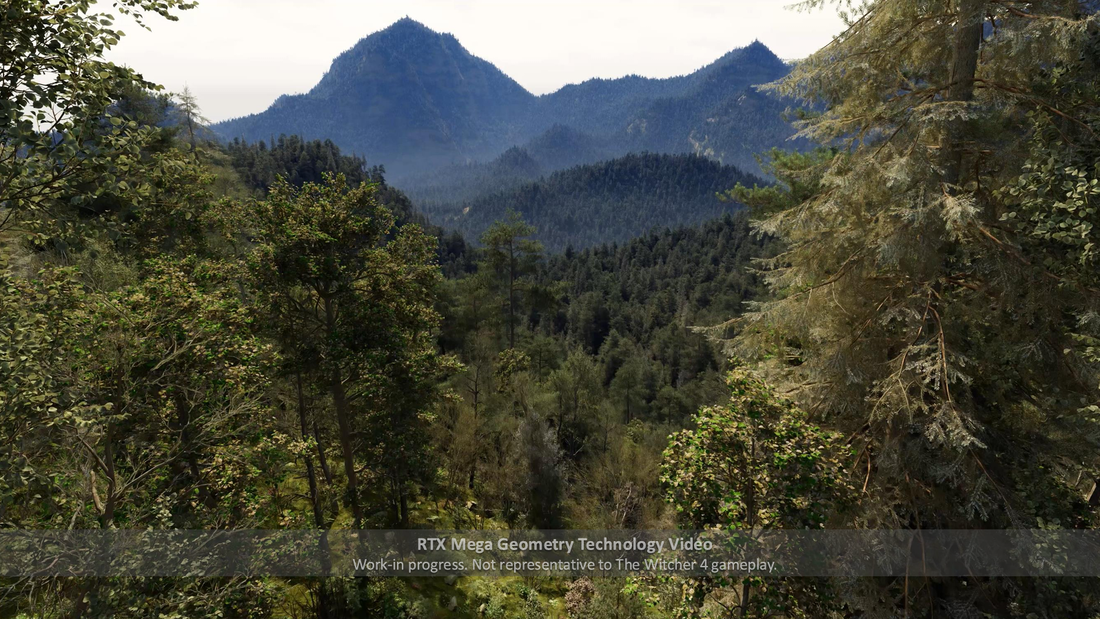 NVIDIA RTX Mega Geometry Foliage