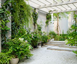 pergola covered patio area with white gravel and tropical planting