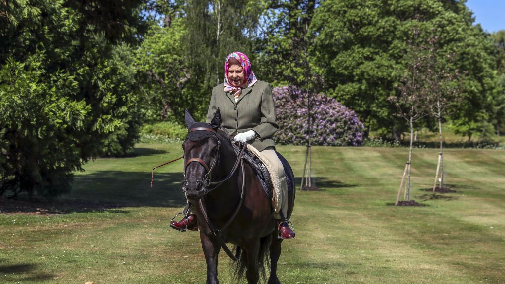 windsor, england may issue date sunday may 31, queen elizabeth ii rides balmoral fern, a 14 year old fell pony, in windsor home park over the weekend of may 30 and may 31, 2020 in windsor, england the queen has been in residence at windsor castle during the coronavirus pandemic photo by steve parsons wpa poolgetty images