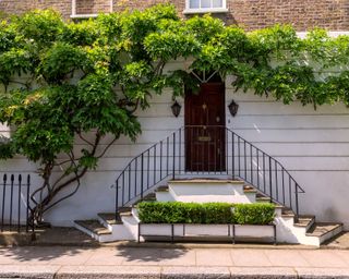 small front garden ideas: steps up to door with overarching foliage