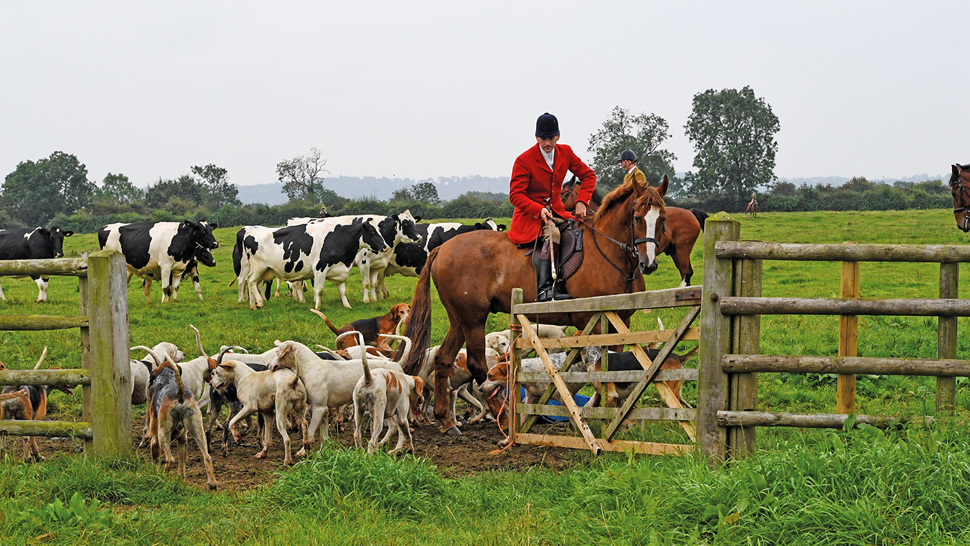 Quorn hunt 09.09.19 Ollie Finnegan ( H/Man ) gets the gate
