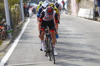 Milano Sanremo 2022 - 113th Edition - Milano - Sanremo 293 km - 19/03/2022 - Tadej Pogacar (SLO - UAE Team Emirates) - photo Luca Bettini/BettiniPhotoÂ©2022