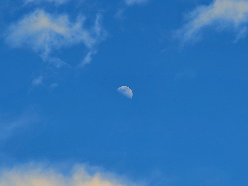 Samsung Galaxy S20 Ultra camera sample
