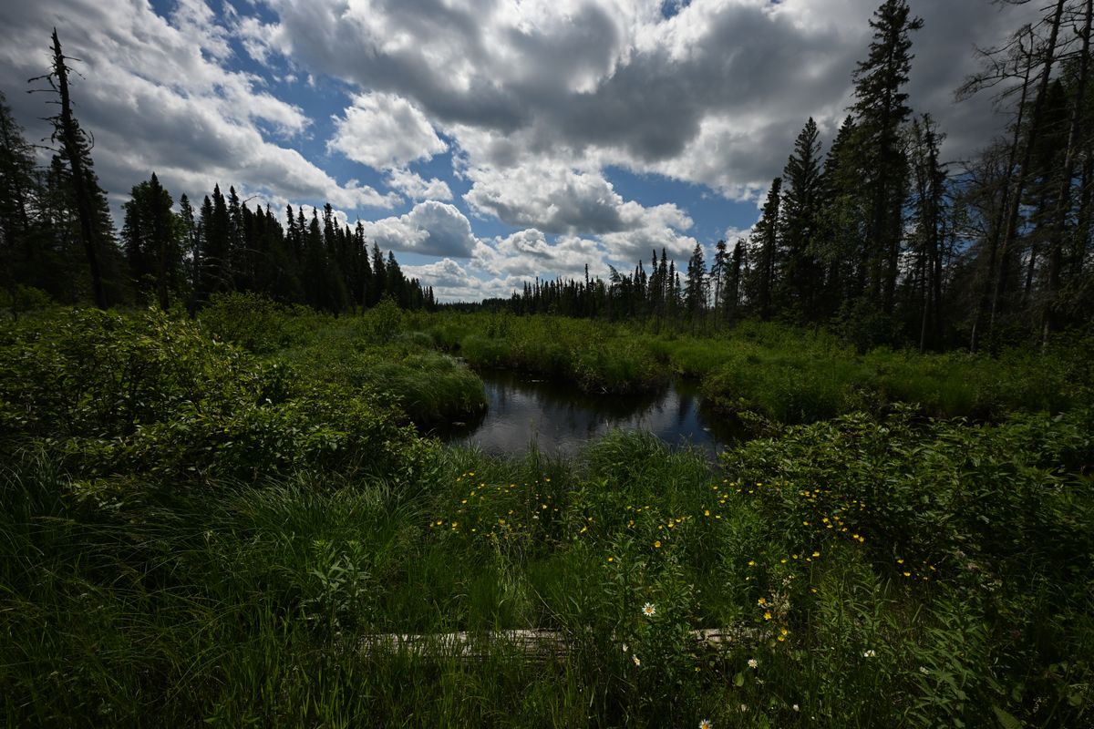 An image taken with the Tamron 12-20mm f/2.8