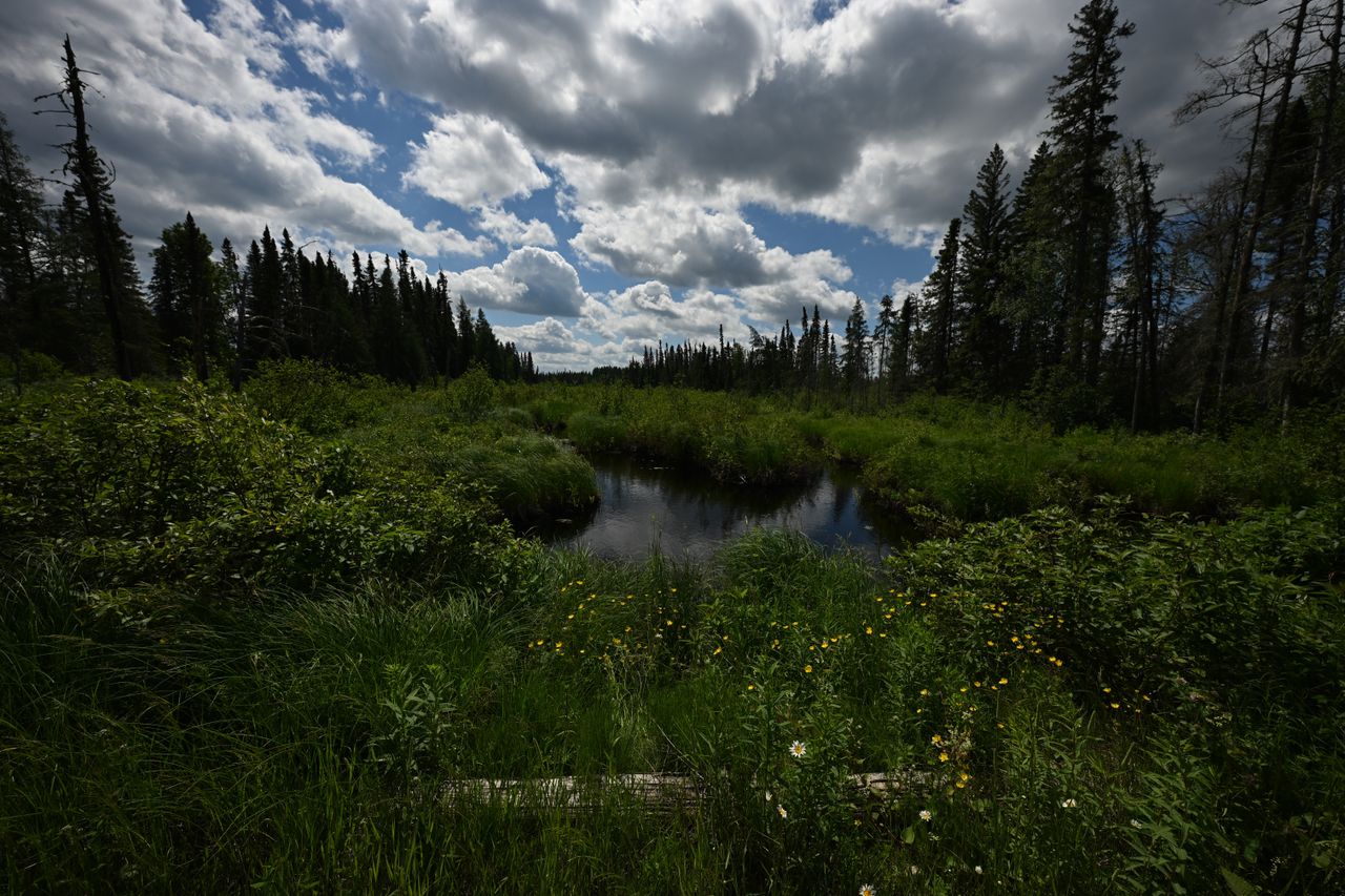 An image taken with the Tamron 12-20mm f/2.8