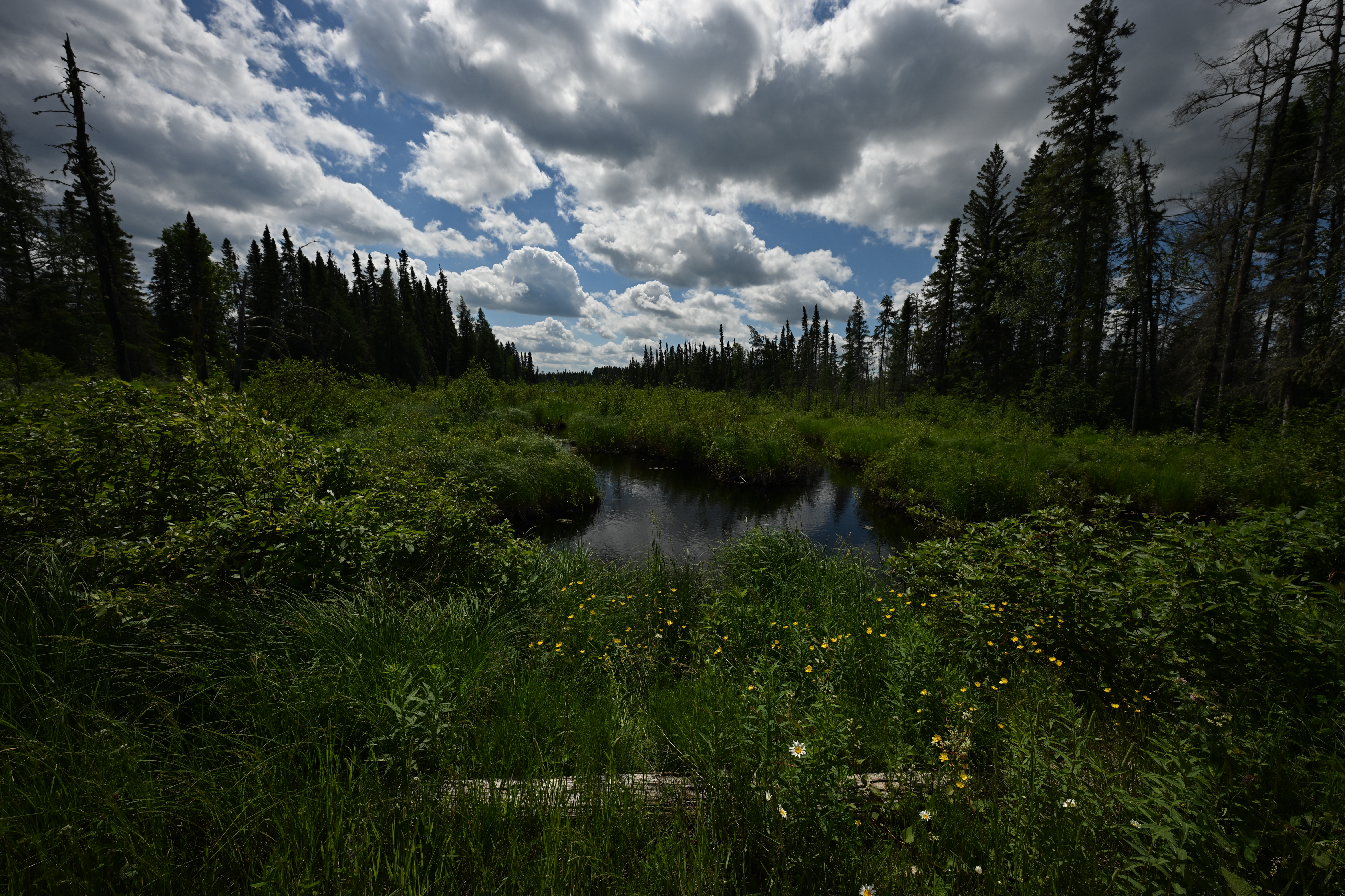 An image taken with the Tamron 12-20mm f/2.8