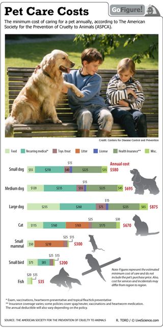 Relative costs of caring for a pet, from Golden Retrievers to goldfish.