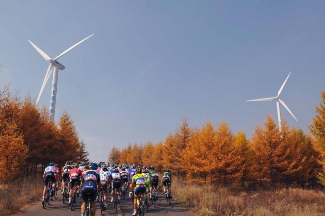 Wind turbines were a regular future during the day