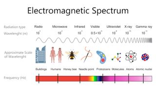 X-rays are high-frequency waves on the electromagnetic spectrum.
