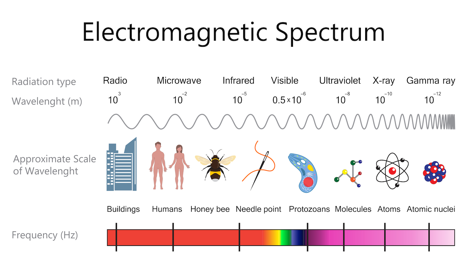 X Ray Waves