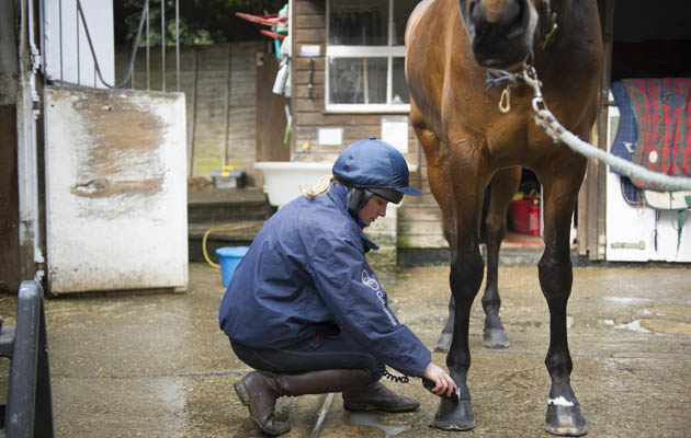 showing turnout tips