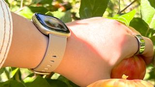 Fitbit Sense 2 on a person's wrist while apple picking