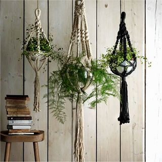 string hanging planter with wooden wall