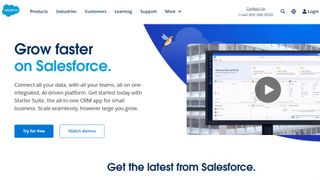 Website screenshot from Salesforce (November 2024)