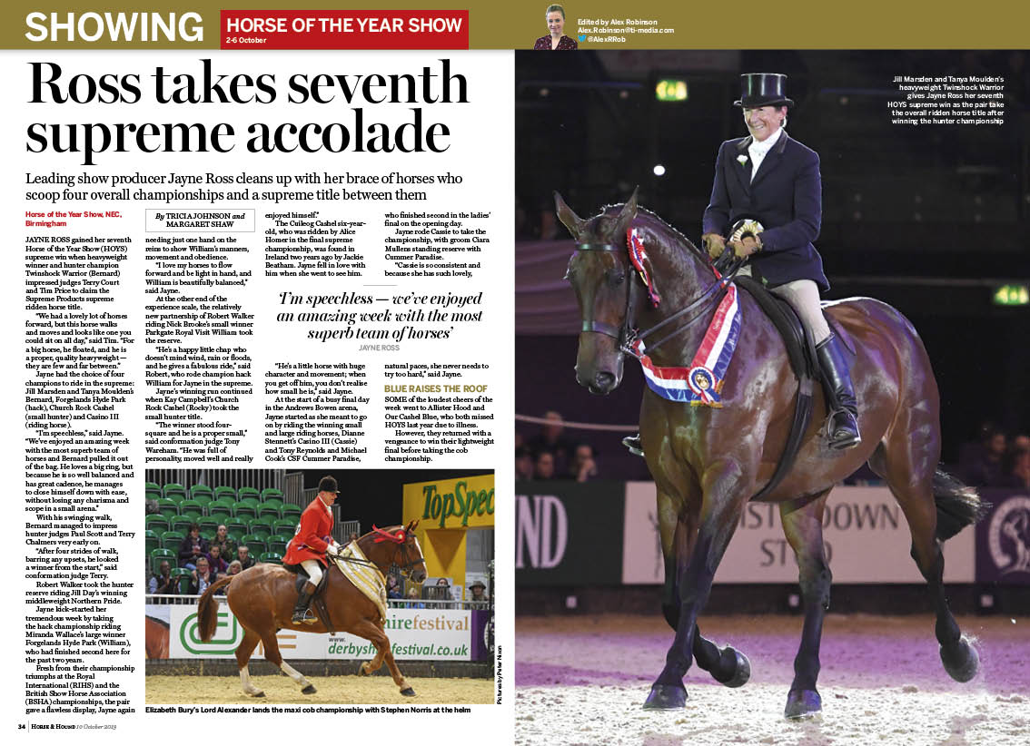 SHW 4.5pp HOYS horses (including