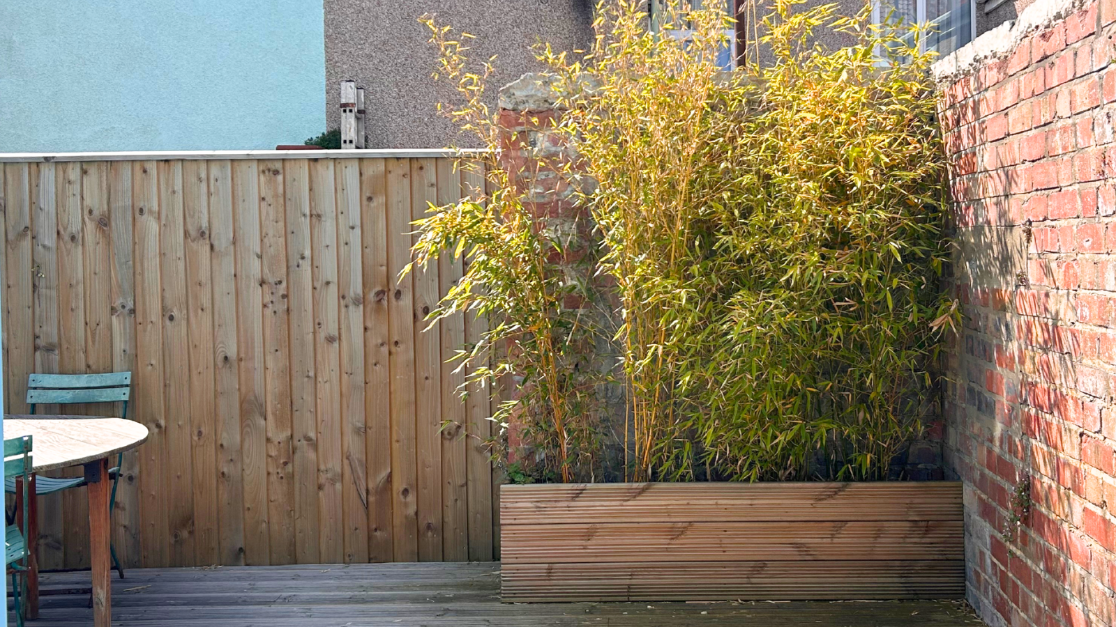 Megan's bamboo plant in a planter made of decking next to a brick wall and a wooden fencex