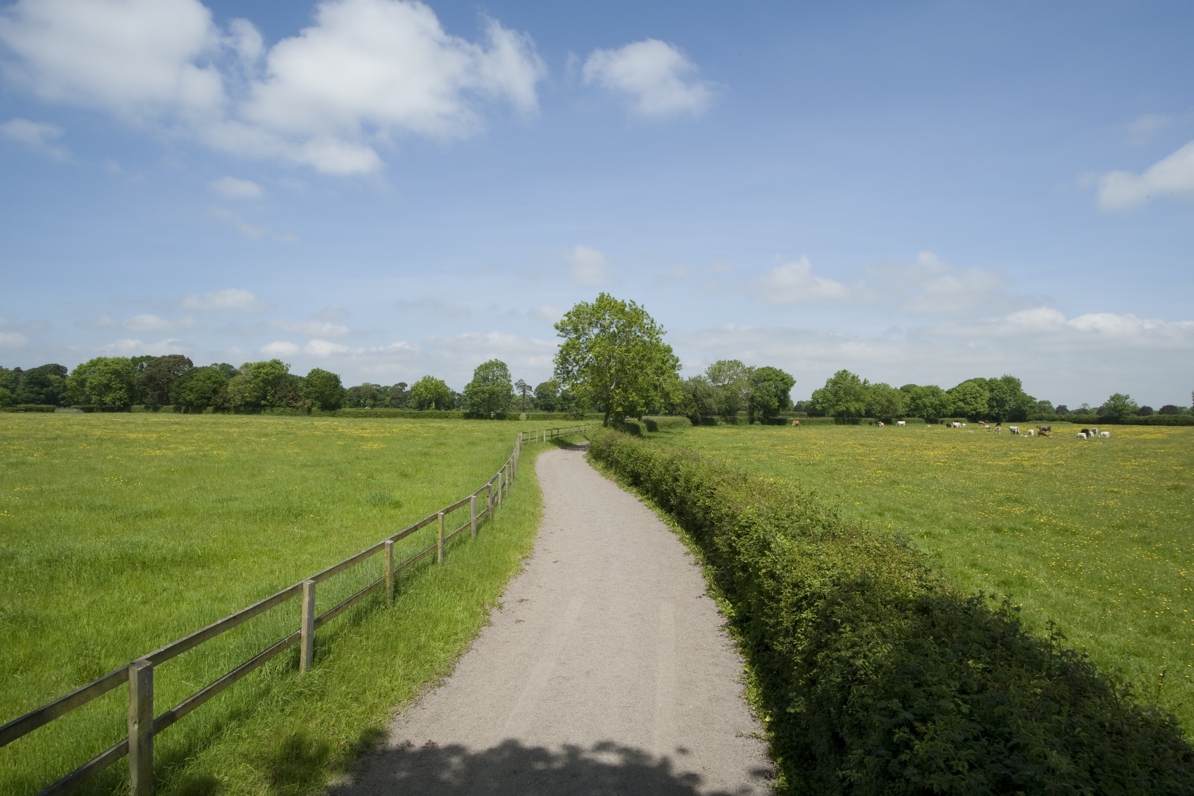 Dollanstown-27.jpg