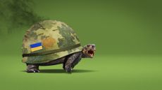 Tortoise with an army helmet shell