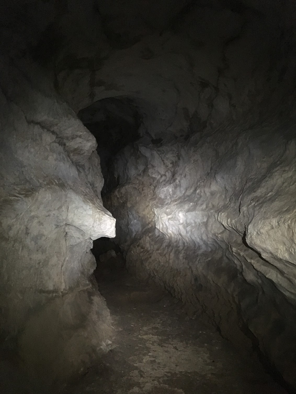 Photograph taken inside a cave.