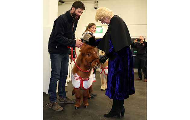 One of the Willberry Wonder Pony mascot’s — Olympia’s official charity for 2017 — gets a royal stroke