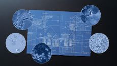 Photo collage of a blueprint of a home, including microscope photos of germs and microorganisms in the blueprint.