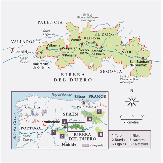 Ribera-del-Duero.jpg