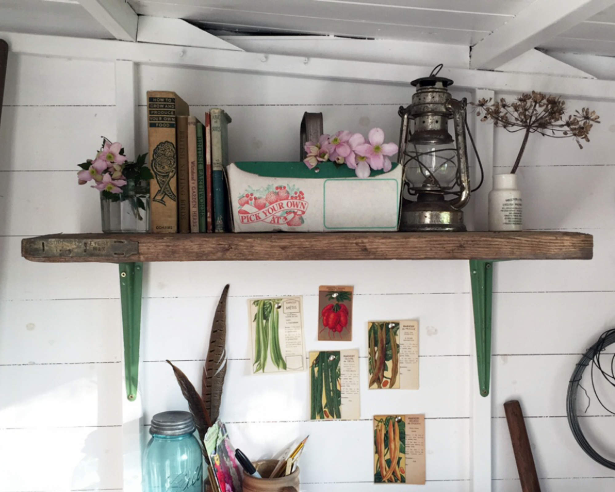 shelf made from a scaffold plank in a garden shed