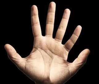 If our hands had six fingers, math might be easier.