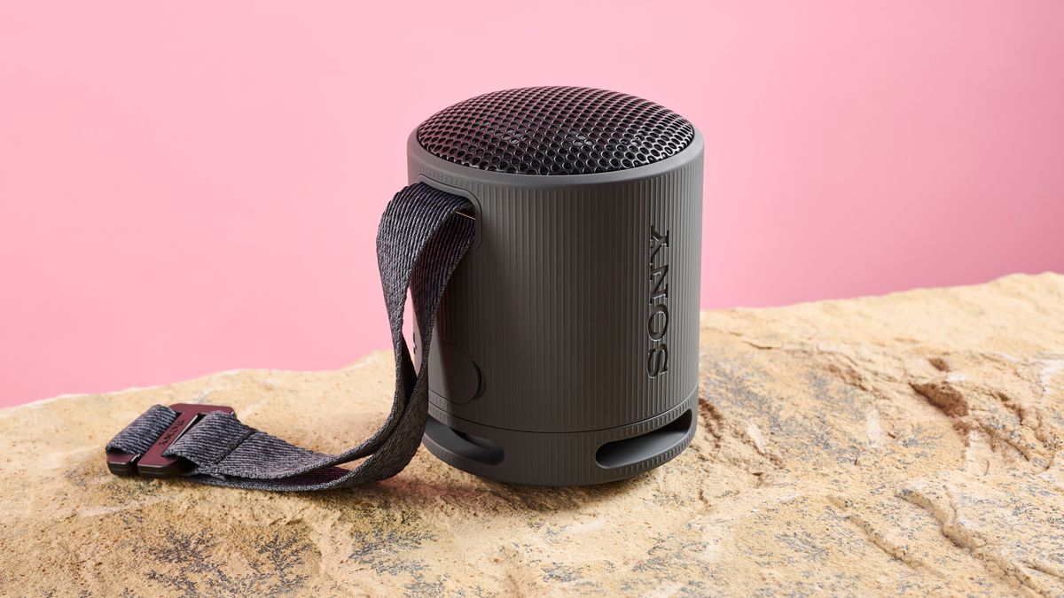 Best Cheap Blue Tooth Speaker Sony SRS-XB100 review: a cheap Bluetooth speaker with good sound but