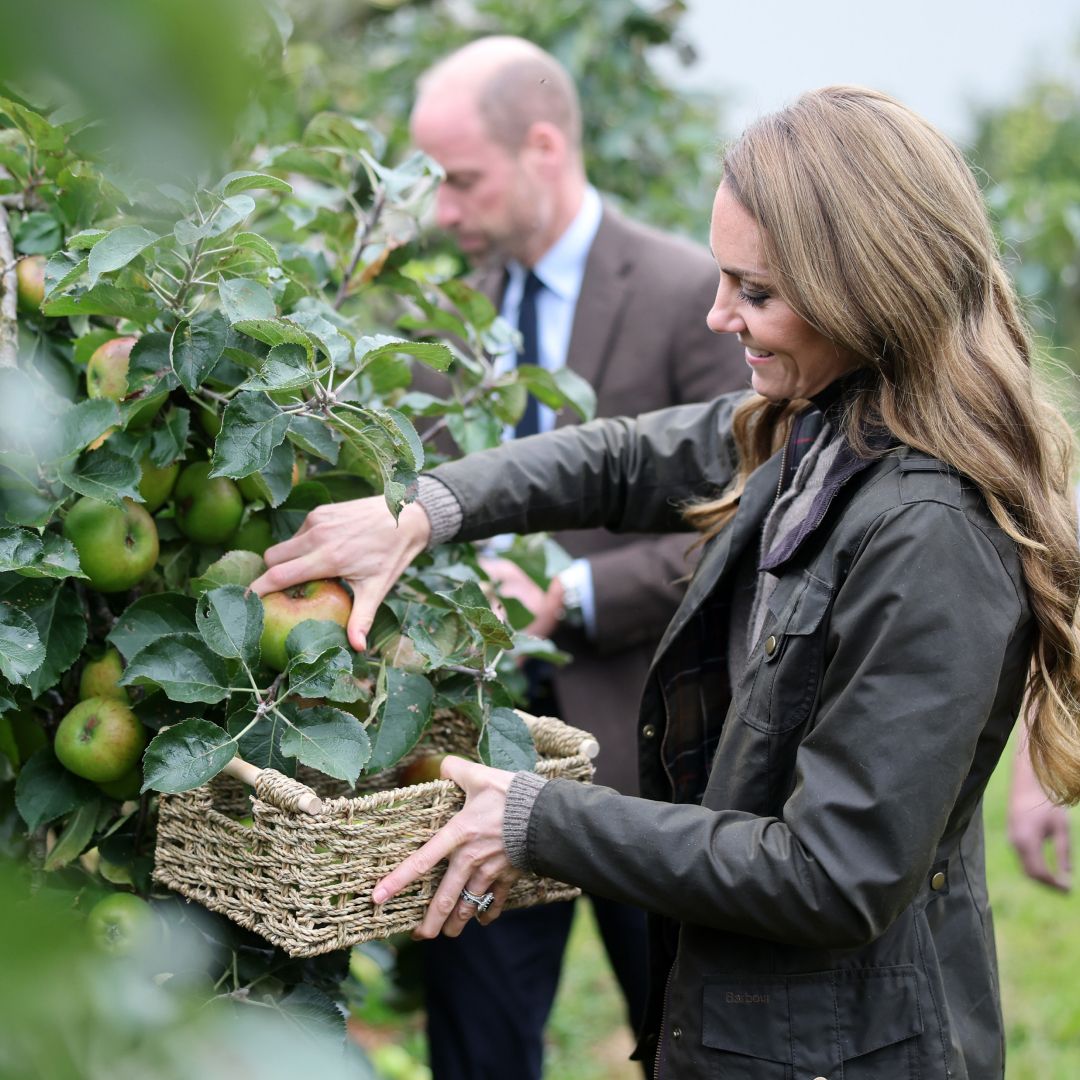 Kate Middleton Apple Picking
