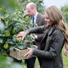 Kate Middleton Apple Picking
