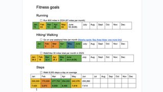 A screenshot of my Google Doc for 2024 workout and weight loss resolutions