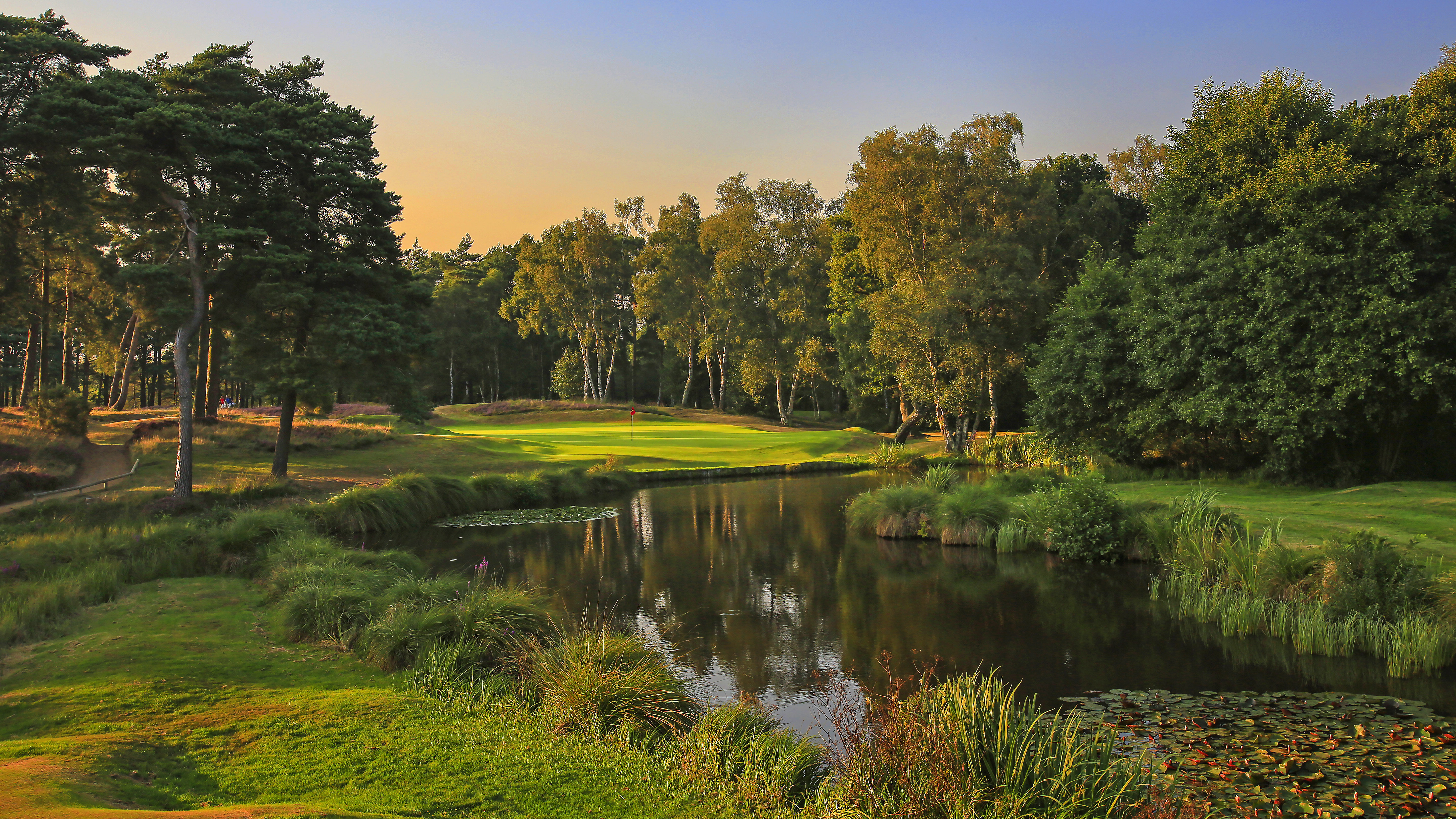 West Sussex - Hole 15