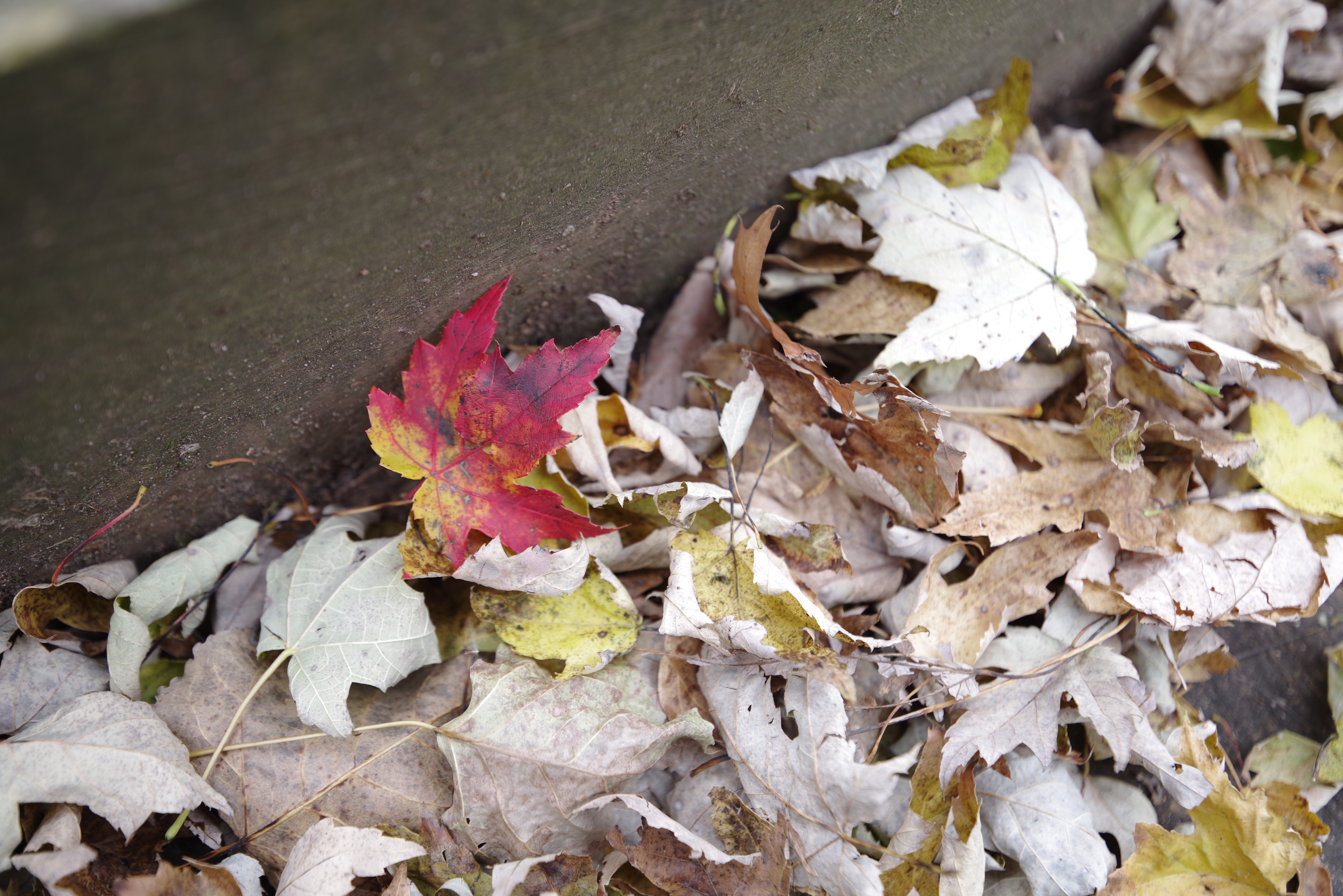 An image shot with the Pentax 15-30mm f/2.8 and the Pentax K-1 Mark II