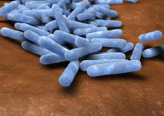 a 3d rendering of e. coli bacteria