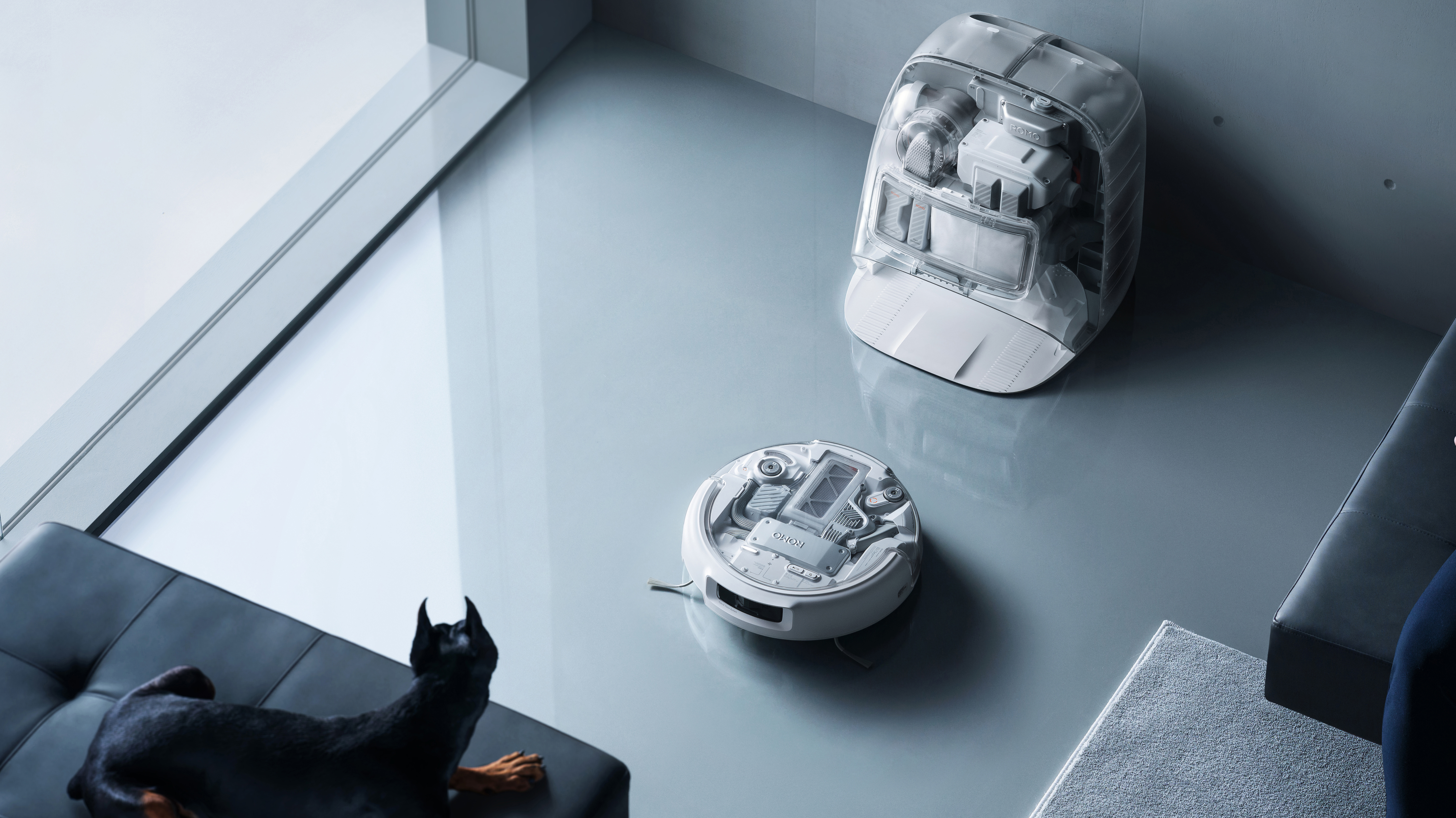 DJI Romo robot vacuum being watched by a dog