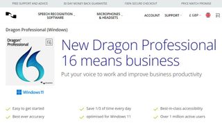 Website screenshot for Dragon Professional