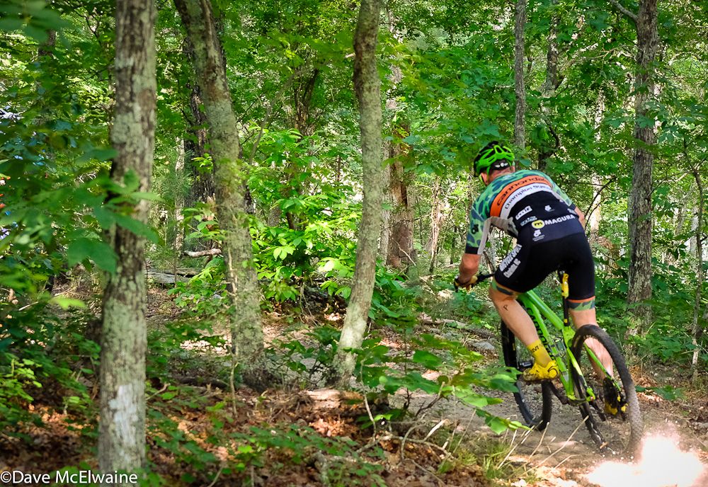 A rider zigzags through an oak forest.