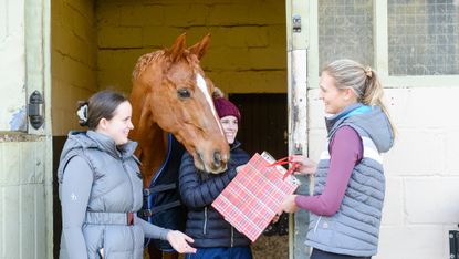 Two ladies, young girl and a horse exchanging a Christmas gift at the stables