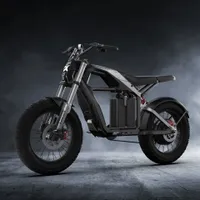 $2,999.99 (about £2,325), segway.com