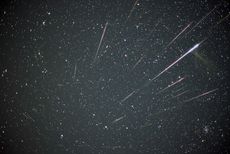 Leonid Meteor Storm 2001