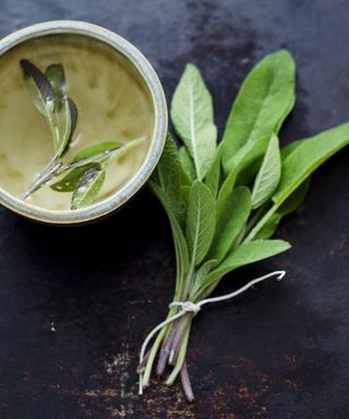 Sage tea in small cup with bunch of sage leaves