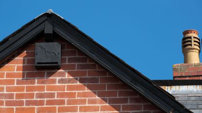 black bat house under the eaves of a house with red bricks
