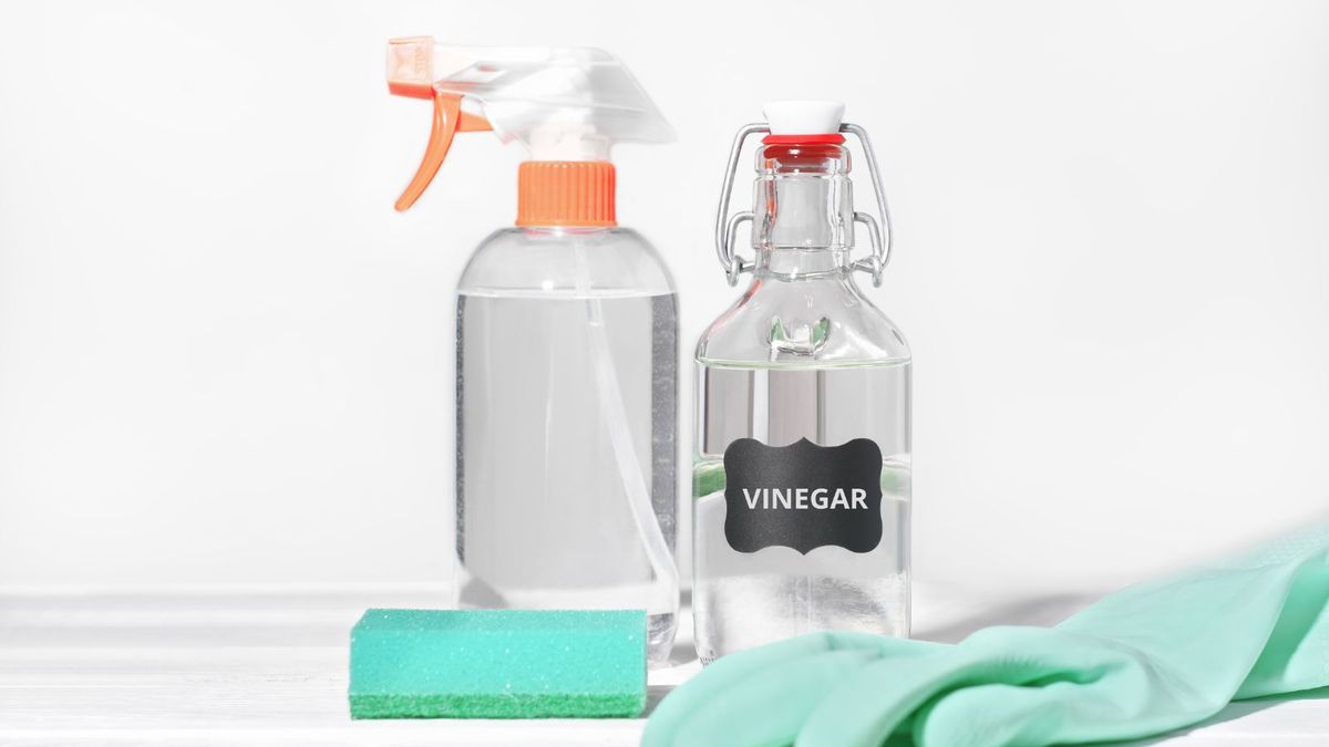 Does vinegar kill lice? Pest control professionals explain