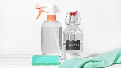 A spray bottle next to a bottle of vinegar