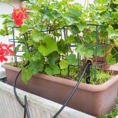 Drip watering irrigation system in terracotta planter