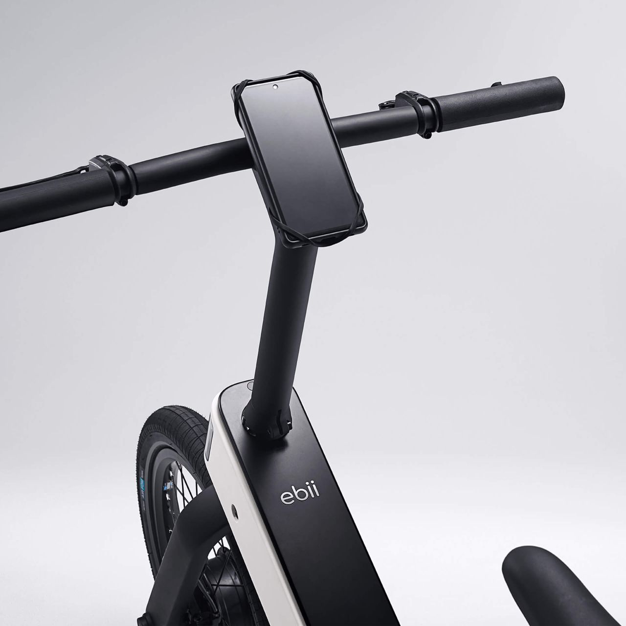 The Acer ebii