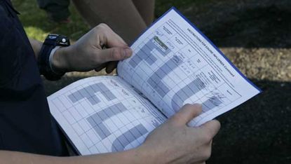 The flu vaccination page of a an equine passport